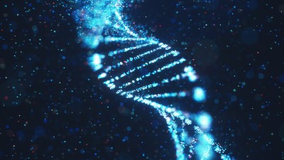 PI的显微镜和生命科学市场 PI的显微镜和生命科学市场